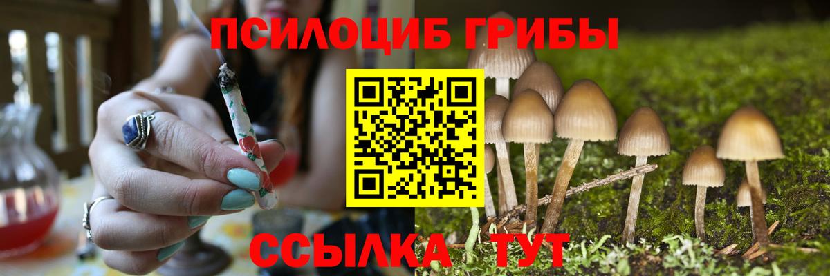 где продают наркотики  Вход с VPN  Дзержинск  Псилоцибиновые грибы ЛСД 